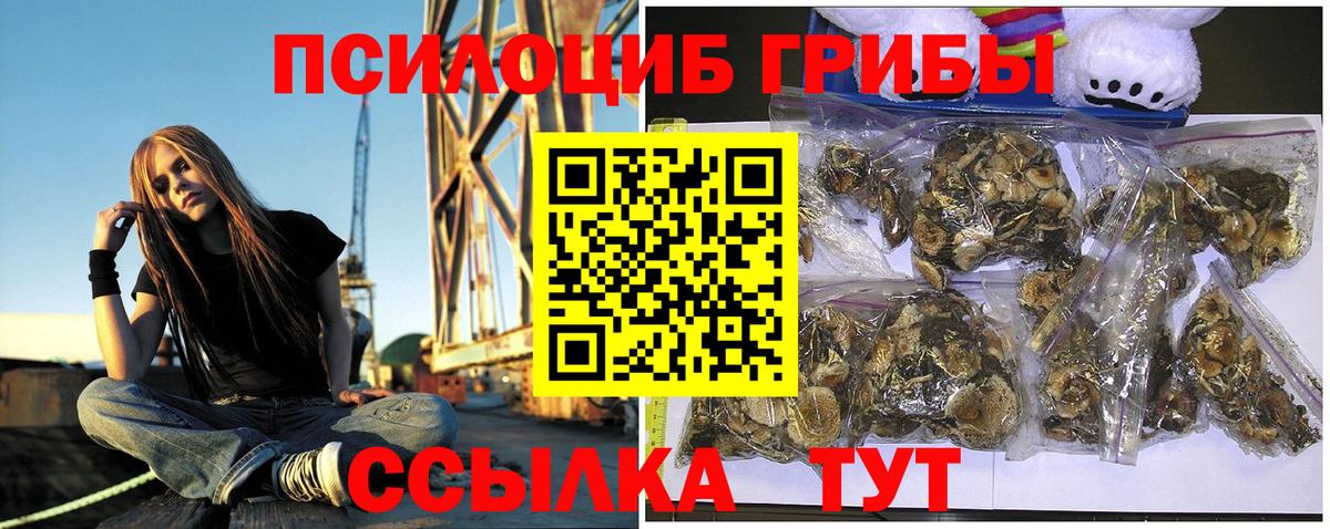 Богородицк  Галлюциногенные грибы мицелий  купить наркотик  Вход с VPN 